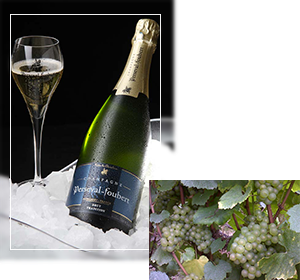 champagne-maison-perseval-foubert-ok