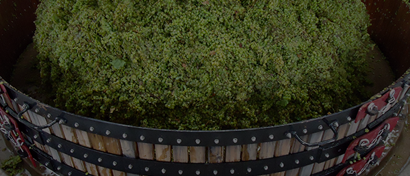 notre-metier-viticulteur