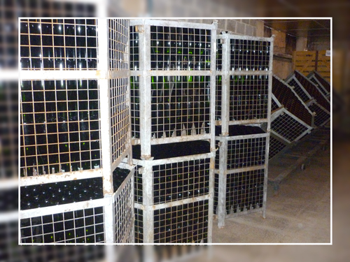 remuage-champagne-perseval